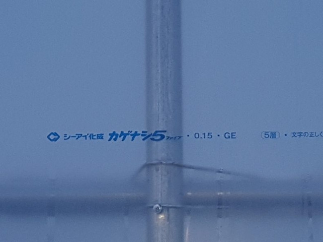 46621ff06d6c2e84e2f0b45999e902f3_1634177746_1359.jpg